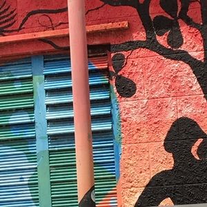 Meet your Posher, Lexi